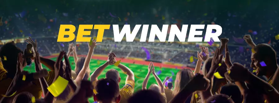 Sorumluluk Reddi ve Kullanım Şartları - Betwinner Türkiye